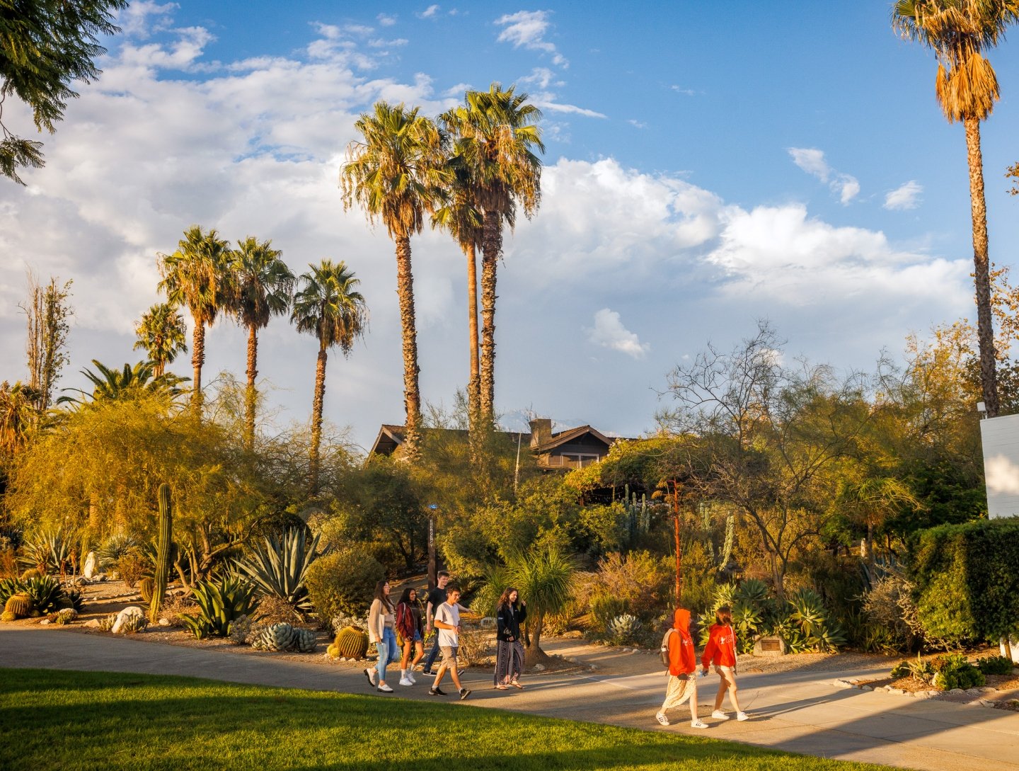 Students walking in front of palm trees.